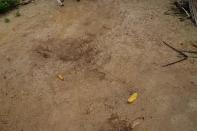 DSC_4690 (Large).JPG